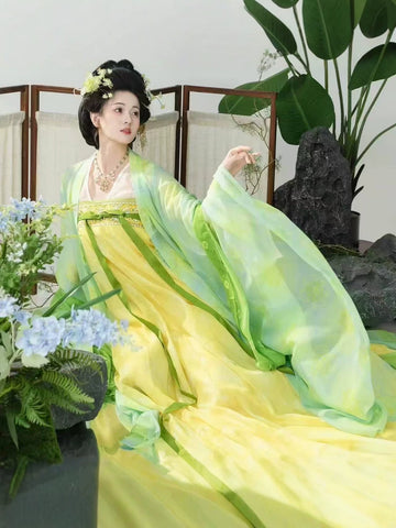 Shimmering Dream Tang-Style Qixiong Hanfu Set with Printed Skirt, Embroidered Wide Sleeve Top & Pibo Shawl