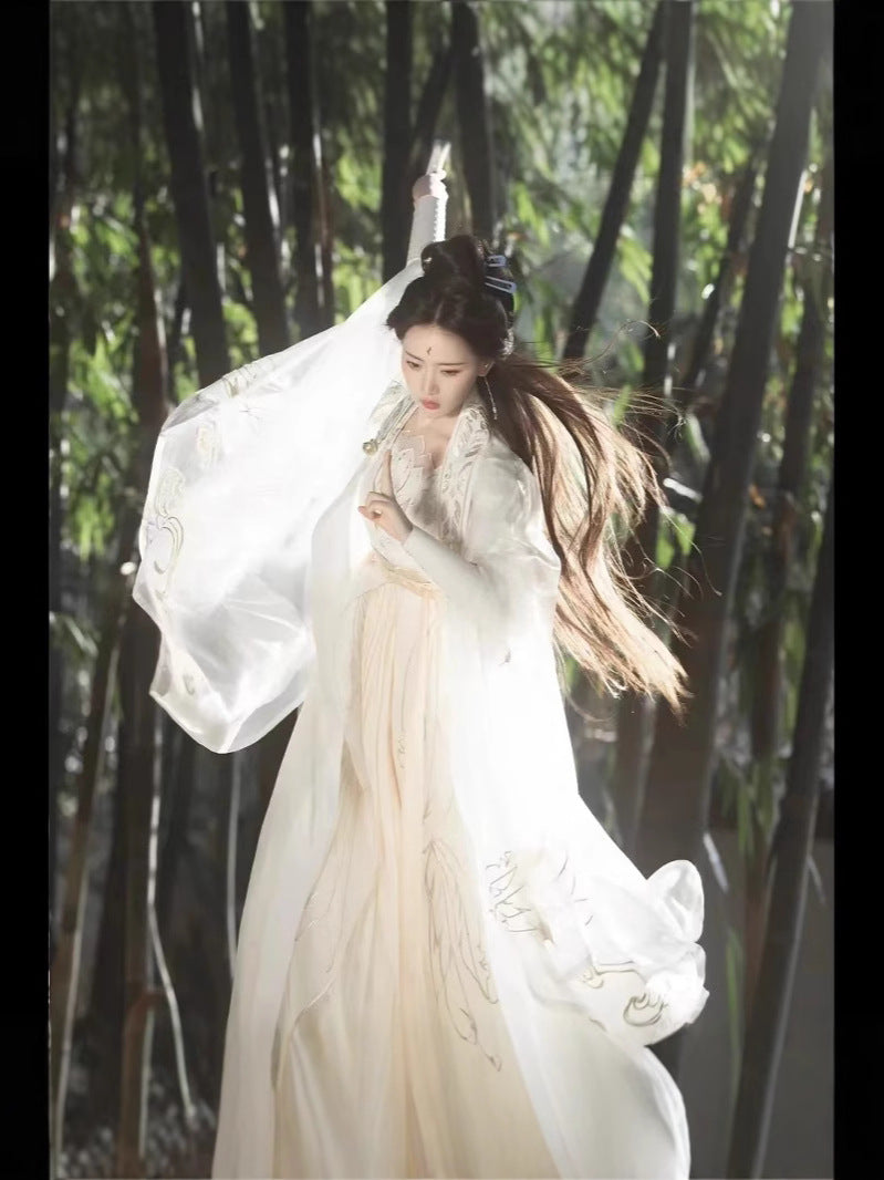Golden Feather Song-Style Hanfu Set, Wuxia Inspired Embroidered Wide Sleeve Ruqun with Pibo Shawl
