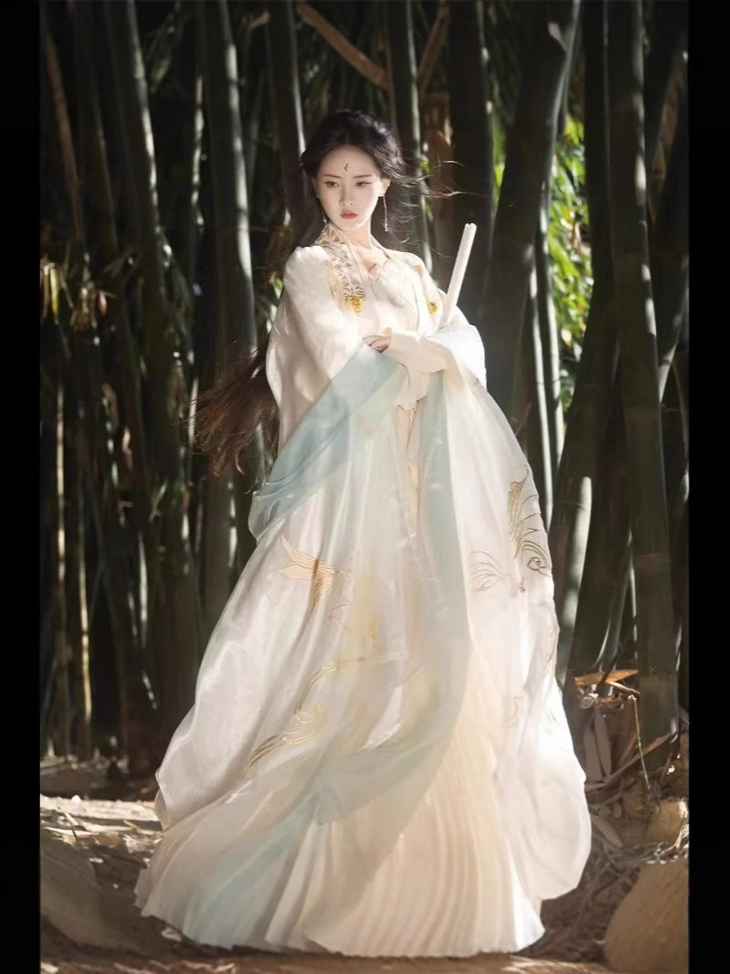 Golden Feather Song-Style Hanfu Set, Wuxia Inspired Embroidered Wide Sleeve Ruqun with Pibo Shawl